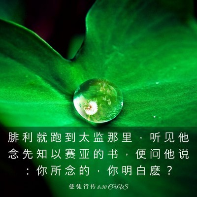 Picture 03 - 使 徒 行 传 8:30 CUVS - 腓 利 就 跑 到 太 监 那 里 ， 听 见 - Bible Verse Picture
