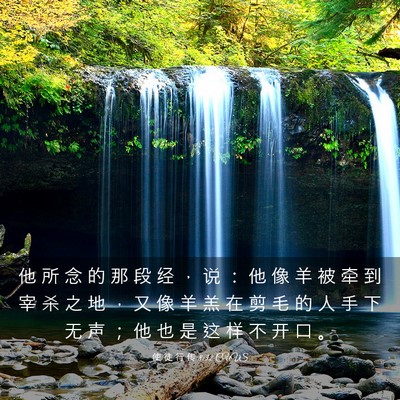 Picture 03 - 使 徒 行 传 8:32 CUVS - 他 所 念 的 那 段 经 ， 说 ： 他 像 - Bible Verse Picture