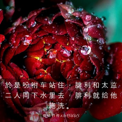 Picture 03 - 使 徒 行 传 8:38 CUVS - 於 是 吩 咐 车 站 住 ， 腓 利 和 太 - Bible Verse Picture