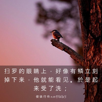 Picture 03 - 使 徒 行 传 9:18 CUVS - 扫 罗 的 眼 睛 上 ， 好 像 有 鳞 立 - Bible Verse Picture