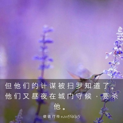 Picture 03 - 使 徒 行 传 9:24 CUVS - 但 他 们 的 计 谋 被 扫 罗 知 道 了 - Bible Verse Picture