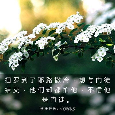 Picture 03 - 使 徒 行 传 9:26 CUVS - 扫 罗 到 了 耶 路 撒 冷 ， 想 与 门 - Bible Verse Picture