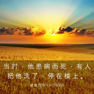 Picture 03 - 使 徒 行 传 9:37 CUVS - 当 时 ， 他 患 病 而 死 ， 有 人 把 - Bible Verse Picture