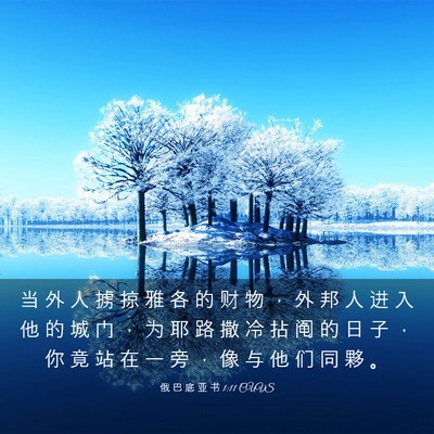 Picture 03 - 俄 巴 底 亚 书 1:11 CUVS - 当 外 人 掳 掠 雅 各 的 财 物 ， 外 - Bible Verse Picture