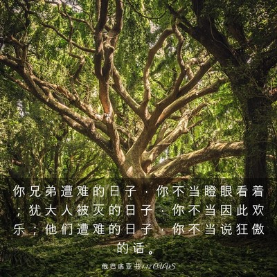 Picture 03 - 俄 巴 底 亚 书 1:12 CUVS - 你 兄 弟 遭 难 的 日 子 ， 你 不 当 - Bible Verse Picture