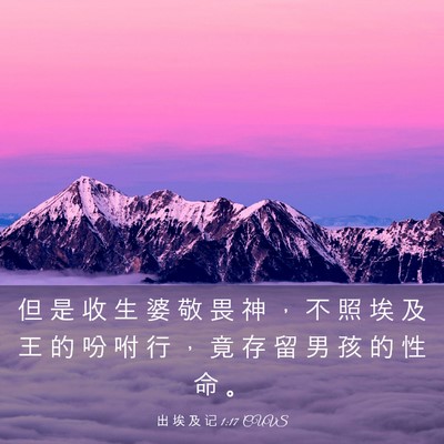 Picture 03 - 出 埃 及 记 1:17 CUVS - 但 是 收 生 婆 敬 畏 神 ， 不 照 埃 - Bible Verse Picture