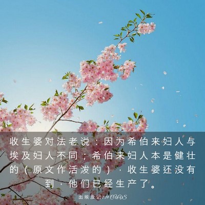 Picture 03 - 出 埃 及 记 1:19 CUVS - 收 生 婆 对 法 老 说 ： 因 为 希 伯 - Bible Verse Picture