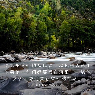 Picture 03 - 出 埃 及 记 1:22 CUVS - 法 老 吩 咐 他 的 众 民 说 ： 以 色 - Bible Verse Picture