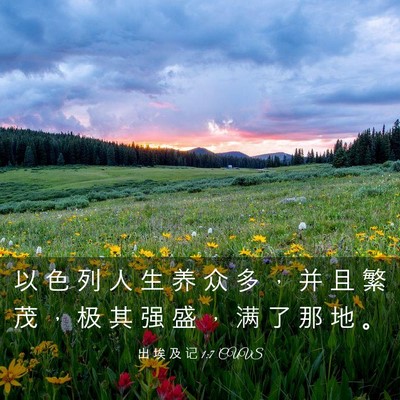 Picture 03 - 出 埃 及 记 1:7 CUVS - 以 色 列 人 生 养 众 多 ， 并 且 繁 - Bible Verse Picture