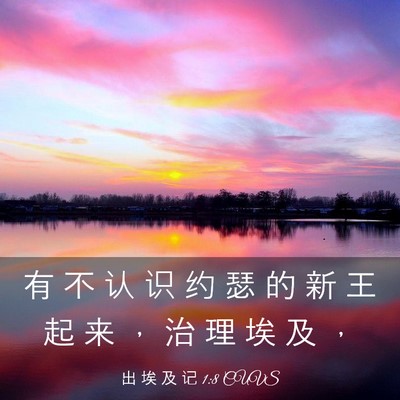 Picture 03 - 出 埃 及 记 1:8 CUVS - 有 不 认 识 约 瑟 的 新 王 起 来 ， - Bible Verse Picture