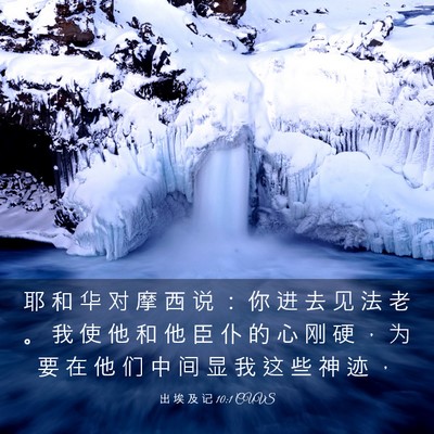 Picture 03 - 出 埃 及 记 10:1 CUVS - 耶 和 华 对 摩 西 说 ： 你 进 去 见 - Bible Verse Picture