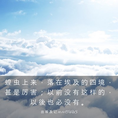 Picture 03 - 出 埃 及 记 10:14 CUVS - 蝗 虫 上 来 ， 落 在 埃 及 的 四 境 - Bible Verse Picture