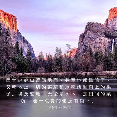 Picture 03 - 出 埃 及 记 10:15 CUVS - 因 为 这 蝗 虫 遮 满 地 面 ， 甚 至 - Bible Verse Picture