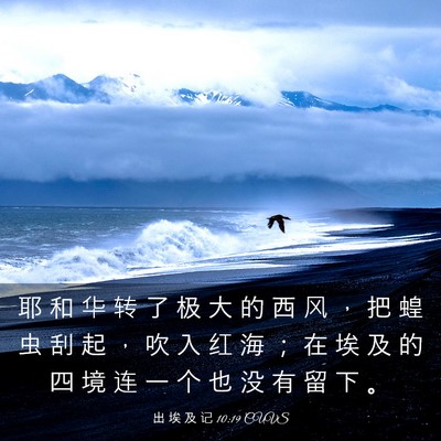 Picture 03 - 出 埃 及 记 10:19 CUVS - 耶 和 华 转 了 极 大 的 西 风 ， 把 - Bible Verse Picture