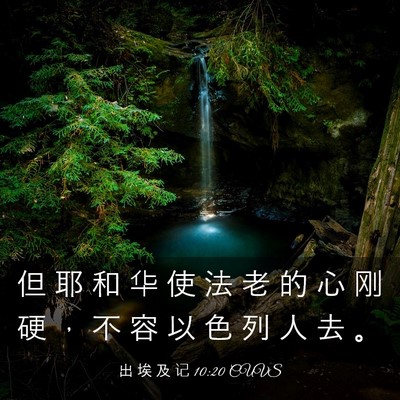 Picture 03 - 出 埃 及 记 10:20 CUVS - 但 耶 和 华 使 法 老 的 心 刚 硬 ， - Bible Verse Picture