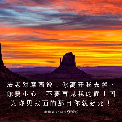 Picture 03 - 出 埃 及 记 10:28 CUVS - 法 老 对 摩 西 说 ： 你 离 开 我 去 - Bible Verse Picture