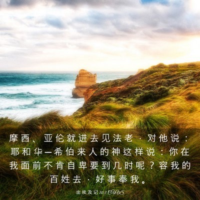 Picture 03 - 出 埃 及 记 10:3 CUVS - 摩 西 、 亚 伦 就 进 去 见 法 老 ， - Bible Verse Picture