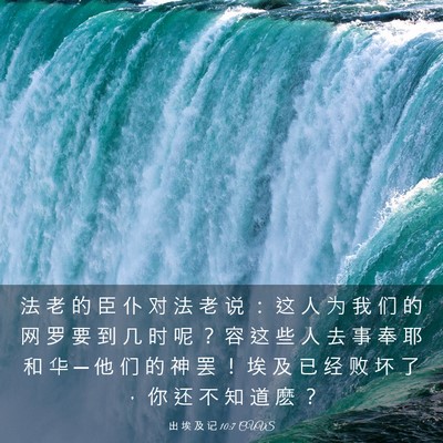 Picture 03 - 出 埃 及 记 10:7 CUVS - 法 老 的 臣 仆 对 法 老 说 ： 这 人 - Bible Verse Picture