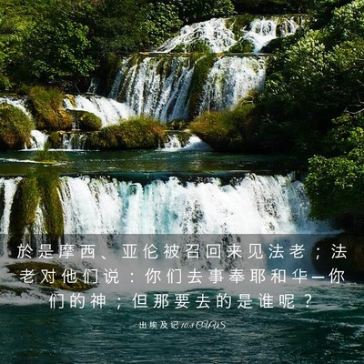 Picture 03 - 出 埃 及 记 10:8 CUVS - 於 是 摩 西 、 亚 伦 被 召 回 来 见 - Bible Verse Picture