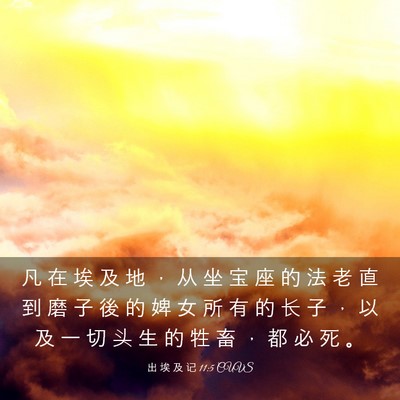 Picture 03 - 出 埃 及 记 11:5 CUVS - 凡 在 埃 及 地 ， 从 坐 宝 座 的 法 - Bible Verse Picture