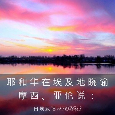 Picture 03 - 出 埃 及 记 12:1 CUVS - 耶 和 华 在 埃 及 地 晓 谕 摩 西 、 - Bible Verse Picture