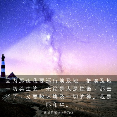 Picture 03 - 出 埃 及 记 12:12 CUVS - 因 为 那 夜 我 要 巡 行 埃 及 地 ， - Bible Verse Picture