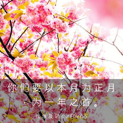 Picture 03 - 出 埃 及 记 12:2 CUVS - 你 们 要 以 本 月 为 正 月 ， 为 一 - Bible Verse Picture