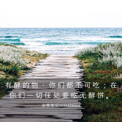 Picture 03 - 出 埃 及 记 12:20 CUVS - 有 酵 的 物 ， 你 们 都 不 可 吃 ； - Bible Verse Picture