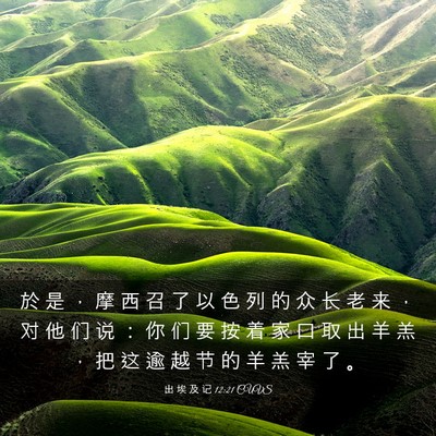 Picture 03 - 出 埃 及 记 12:21 CUVS - 於 是 ， 摩 西 召 了 以 色 列 的 众 - Bible Verse Picture