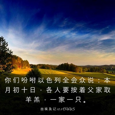 Picture 03 - 出 埃 及 记 12:3 CUVS - 你 们 吩 咐 以 色 列 全 会 众 说 ： - Bible Verse Picture