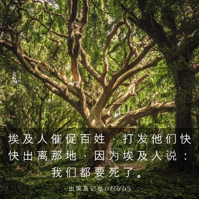 Picture 03 - 出 埃 及 记 12:33 CUVS - 埃 及 人 催 促 百 姓 ， 打 发 他 们 - Bible Verse Picture