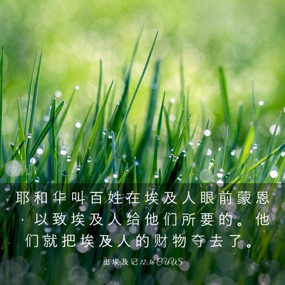 Picture 03 - 出 埃 及 记 12:36 CUVS - 耶 和 华 叫 百 姓 在 埃 及 人 眼 前 - Bible Verse Picture
