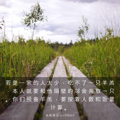 Picture 03 - 出 埃 及 记 12:4 CUVS - 若 是 一 家 的 人 太 少 ， 吃 不 了 - Bible Verse Picture