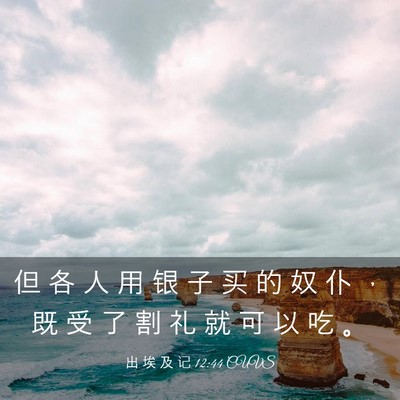 Picture 03 - 出 埃 及 记 12:44 CUVS - 但 各 人 用 银 子 买 的 奴 仆 ， 既 - Bible Verse Picture