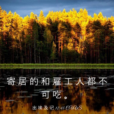 Picture 03 - 出 埃 及 记 12:45 CUVS - 寄 居 的 和 雇 工 人 都 不 可 吃 - Bible Verse Picture