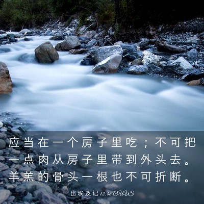 Picture 03 - 出 埃 及 记 12:46 CUVS - 应 当 在 一 个 房 子 里 吃 ； 不 可 - Bible Verse Picture