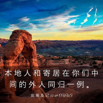 Picture 03 - 出 埃 及 记 12:49 CUVS - 本 地 人 和 寄 居 在 你 们 中 间 的 - Bible Verse Picture