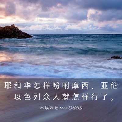 Picture 03 - 出 埃 及 记 12:50 CUVS - 耶 和 华 怎 样 吩 咐 摩 西 、 亚 伦 - Bible Verse Picture
