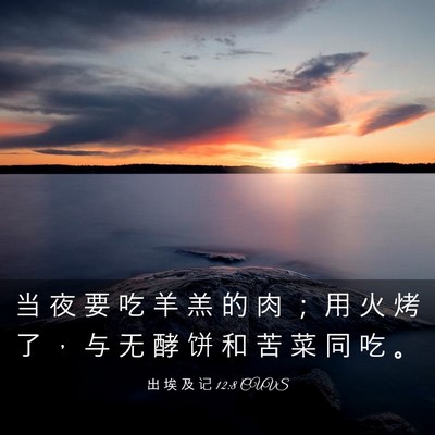 Picture 03 - 出 埃 及 记 12:8 CUVS - 当 夜 要 吃 羊 羔 的 肉 ； 用 火 烤 - Bible Verse Picture