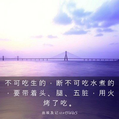 Picture 03 - 出 埃 及 记 12:9 CUVS - 不 可 吃 生 的 ， 断 不 可 吃 水 煮 - Bible Verse Picture