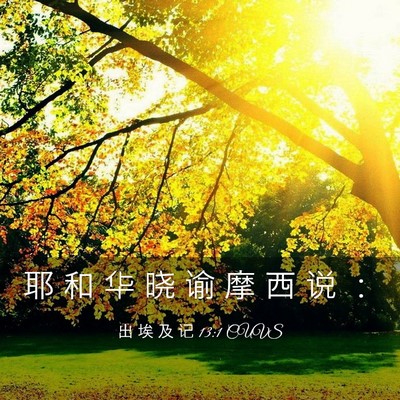 Picture 03 - 出 埃 及 记 13:1 CUVS - 耶 和 华 晓 谕 摩 西 说 - Bible Verse Picture