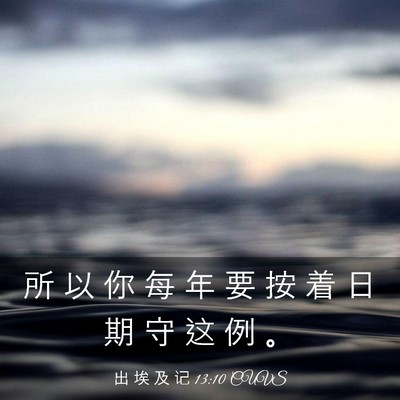 Picture 03 - 出 埃 及 记 13:10 CUVS - 所 以 你 每 年 要 按 着 日 期 守 这 - Bible Verse Picture