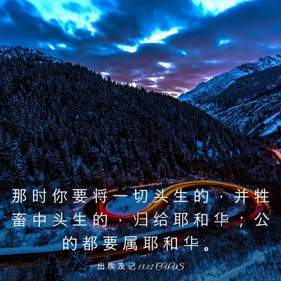 Picture 03 - 出 埃 及 记 13:12 CUVS - 那 时 你 要 将 一 切 头 生 的 ， 并 - Bible Verse Picture