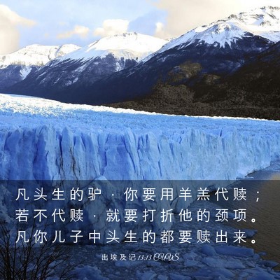Picture 03 - 出 埃 及 记 13:13 CUVS - 凡 头 生 的 驴 ， 你 要 用 羊 羔 代 - Bible Verse Picture