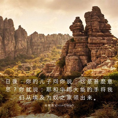 Picture 03 - 出 埃 及 记 13:14 CUVS - 日 後 ， 你 的 儿 子 问 你 说 ： 这 - Bible Verse Picture