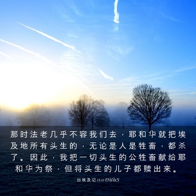 Picture 03 - 出 埃 及 记 13:15 CUVS - 那 时 法 老 几 乎 不 容 我 们 去 ， - Bible Verse Picture