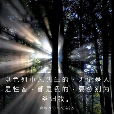Picture 03 - 出 埃 及 记 13:2 CUVS - 以 色 列 中 凡 头 生 的 ， 无 论 是 - Bible Verse Picture
