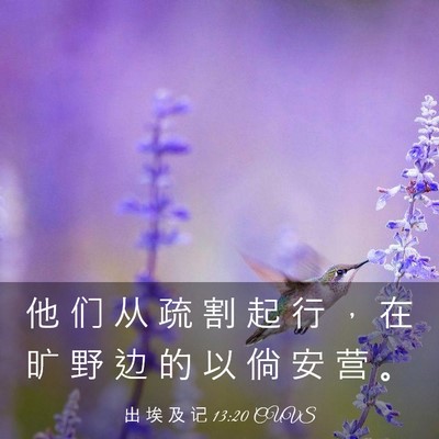 Picture 03 - 出 埃 及 记 13:20 CUVS - 他 们 从 疏 割 起 行 ， 在 旷 野 边 - Bible Verse Picture