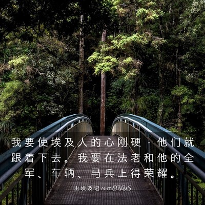 Picture 03 - 出 埃 及 记 14:17 CUVS - 我 要 使 埃 及 人 的 心 刚 硬 ， 他 - Bible Verse Picture