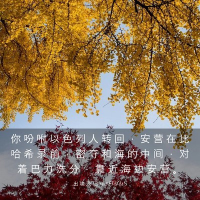 Picture 03 - 出 埃 及 记 14:2 CUVS - 你 吩 咐 以 色 列 人 转 回 ， 安 营 - Bible Verse Picture